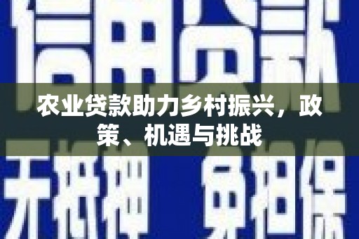 正阳农业贷款助力乡村振兴，政策、机遇与挑战