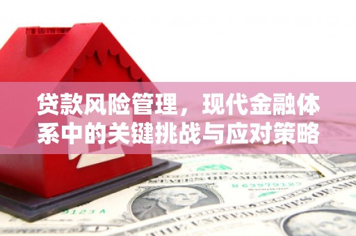 正阳贷款风险管理，现代金融体系中的关键挑战与应对策略
