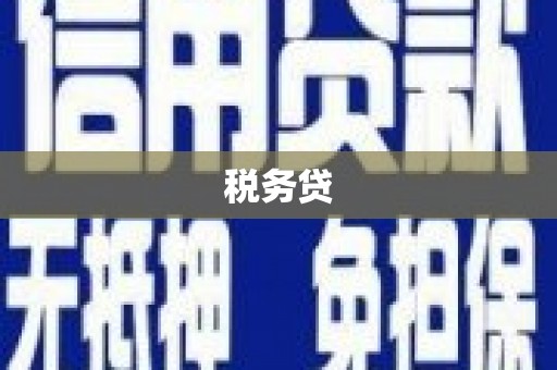 正阳税务贷