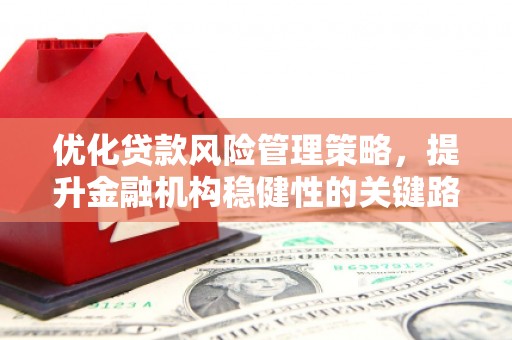 正阳优化贷款风险管理策略，提升金融机构稳健性的关键路径