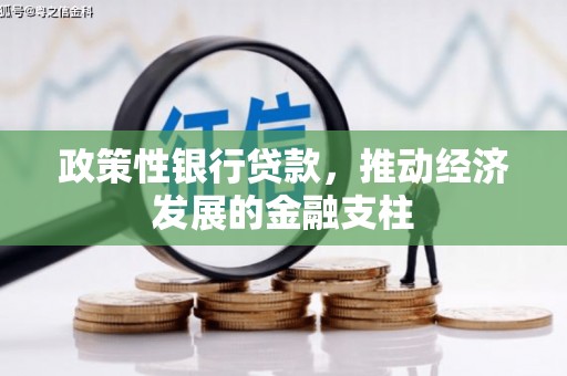 正阳政策性银行贷款，推动经济发展的金融支柱