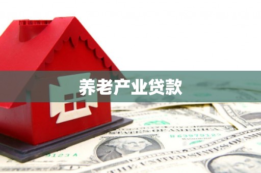正阳养老产业贷款