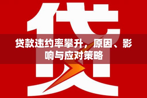 正阳贷款违约率攀升，原因、影响与应对策略