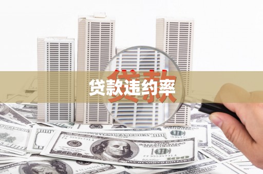 正阳贷款违约率