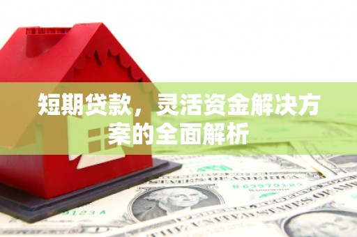 正阳短期贷款，灵活资金解决方案的全面解析