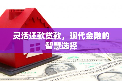 正阳灵活还款贷款，现代金融的智慧选择