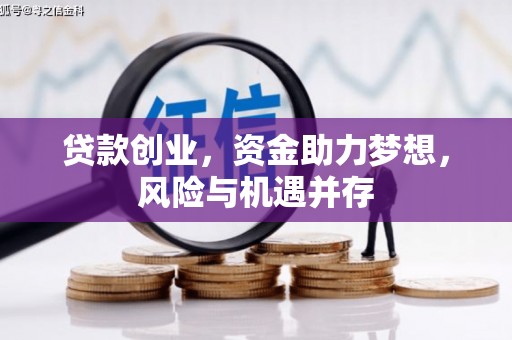 正阳贷款创业，资金助力梦想，风险与机遇并存