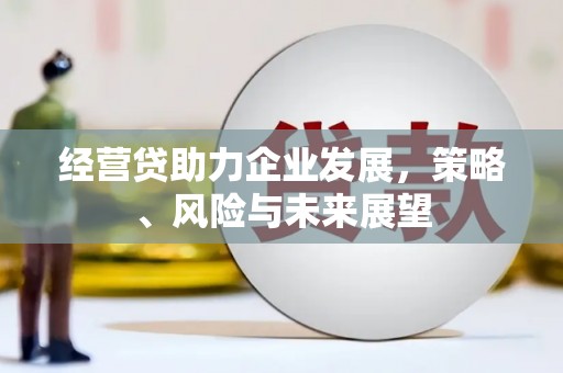 正阳经营贷助力企业发展，策略、风险与未来展望