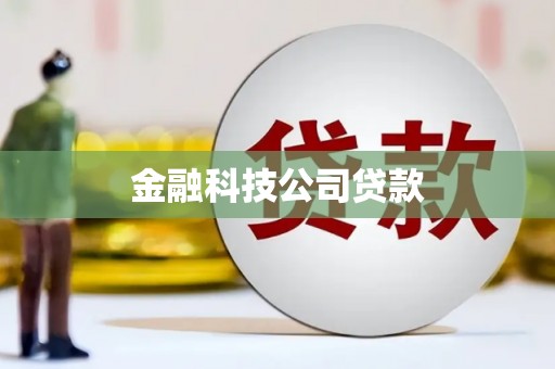 正阳金融科技公司贷款