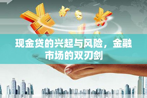 正阳现金贷的兴起与风险，金融市场的双刃剑