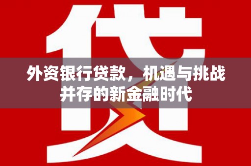 正阳外资银行贷款，机遇与挑战并存的新金融时代