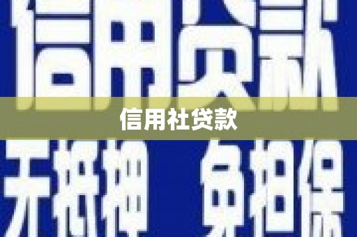 正阳信用社贷款