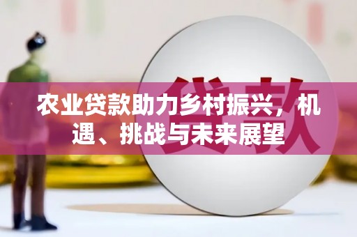 正阳农业贷款助力乡村振兴，机遇、挑战与未来展望