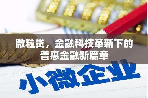 正阳微粒贷，金融科技革新下的普惠金融新篇章