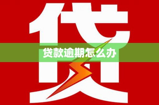 正阳贷款逾期怎么办