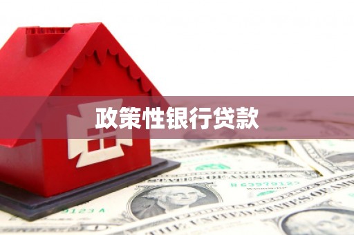 正阳政策性银行贷款