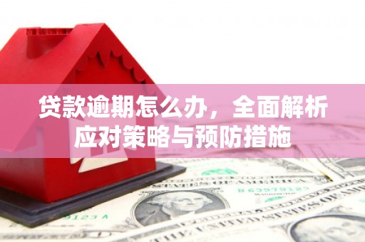 正阳贷款逾期怎么办，全面解析应对策略与预防措施
