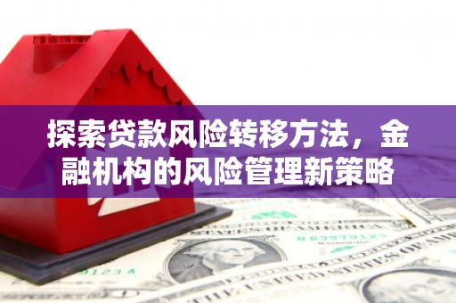 正阳探索贷款风险转移方法，金融机构的风险管理新策略