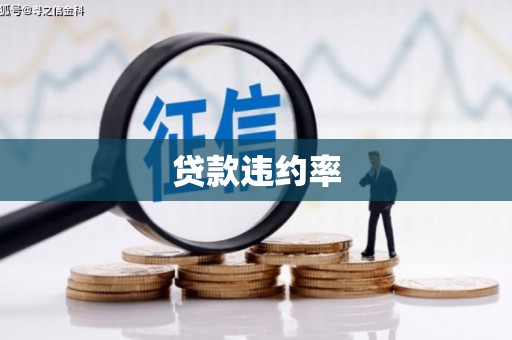 正阳贷款违约率