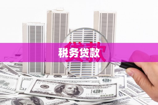 正阳税务贷款