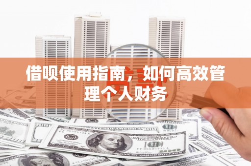 正阳借呗使用指南，如何高效管理个人财务