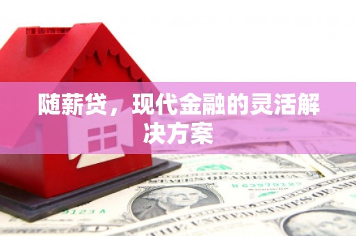 正阳随薪贷，现代金融的灵活解决方案