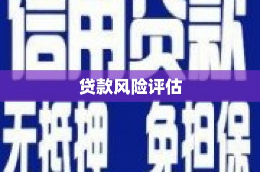 正阳贷款风险评估