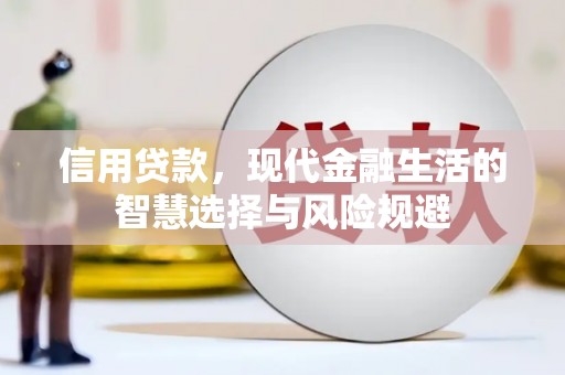 正阳信用贷款，现代金融生活的智慧选择与风险规避