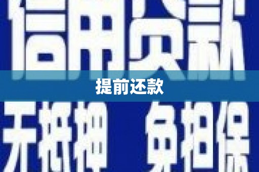 正阳提前还款