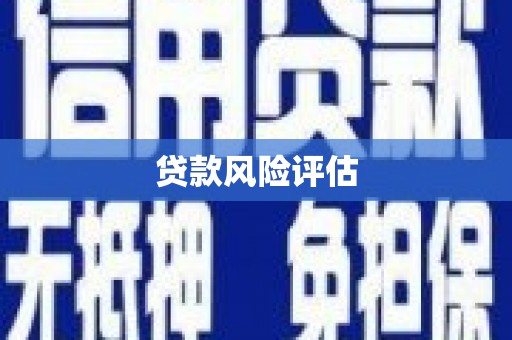 正阳贷款风险评估