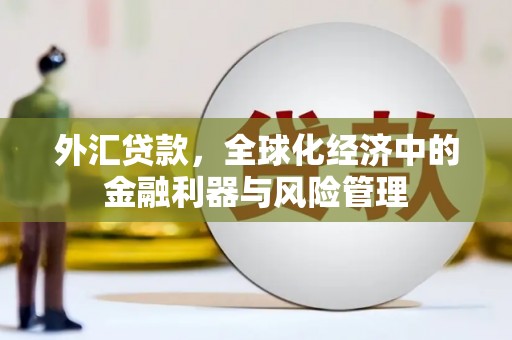 正阳外汇贷款，全球化经济中的金融利器与风险管理