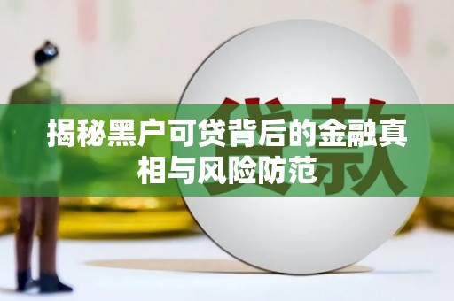 正阳揭秘黑户可贷背后的金融真相与风险防范