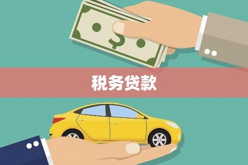 正阳税务贷款