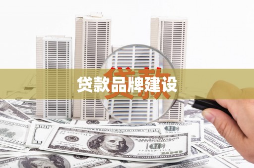 正阳贷款品牌建设