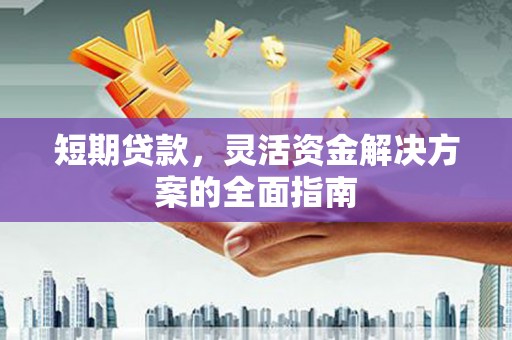 正阳短期贷款，灵活资金解决方案的全面指南
