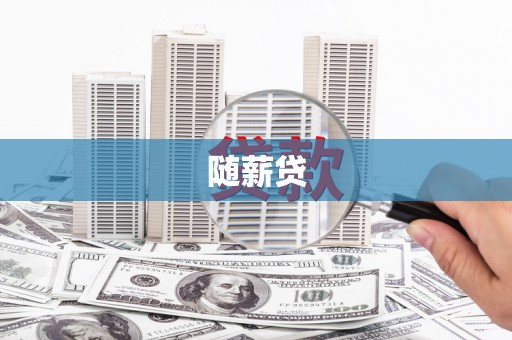 正阳随薪贷