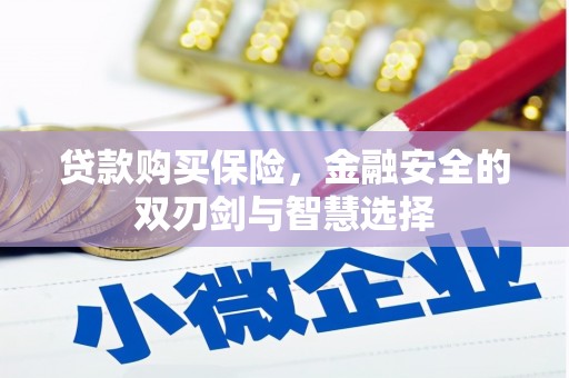 正阳贷款购买保险，金融安全的双刃剑与智慧选择