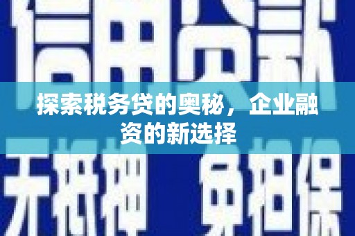正阳探索税务贷的奥秘，企业融资的新选择