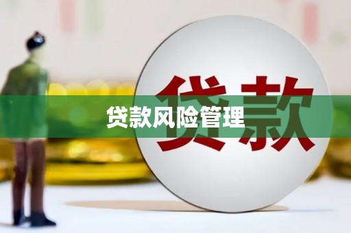 正阳贷款风险管理