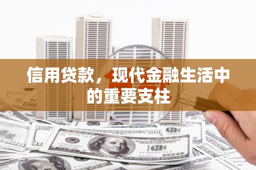 正阳信用贷款，现代金融生活中的重要支柱