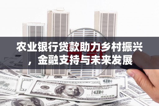 正阳农业银行贷款助力乡村振兴，金融支持与未来发展