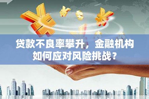 正阳贷款不良率攀升，金融机构如何应对风险挑战？