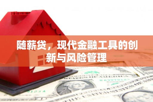 正阳随薪贷，现代金融工具的创新与风险管理