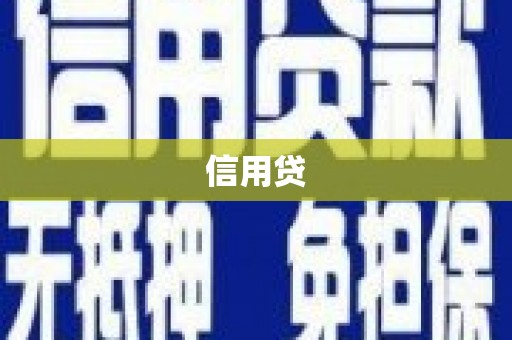 正阳信用贷