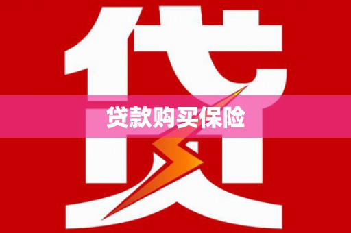 正阳贷款购买保险