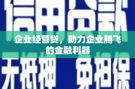 正阳企业经营贷，助力企业腾飞的金融利器