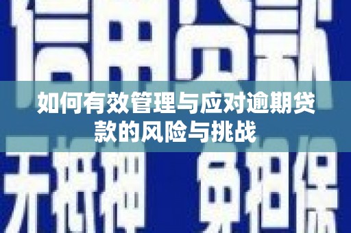 正阳如何有效管理与应对逾期贷款的风险与挑战