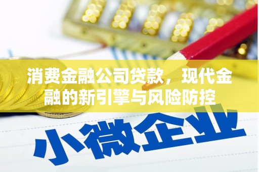 正阳消费金融公司贷款，现代金融的新引擎与风险防控