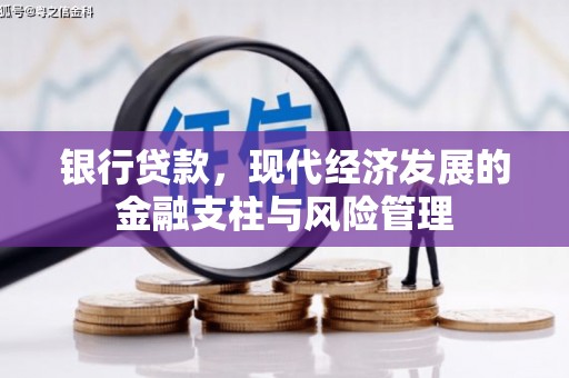 正阳银行贷款，现代经济发展的金融支柱与风险管理