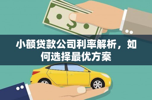 正阳小额贷款公司利率解析，如何选择最优方案